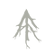 Art Forest studio